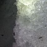 DCIM100GOPROGOPR0931.JPG